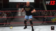 1345608031wwe13shirtfront_530x298