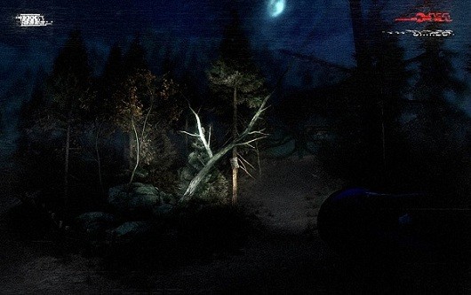 First screens of Slender: The Arrival show fear in high-def, Game Crazy
