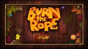 1349334012burntheropetop