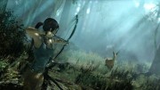 1354334414tombraidersquareenixscreenshot406052012_530x298