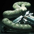 1354669220hitmansnake