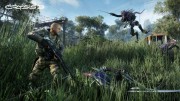 1354827622crysis-3---field---12-6-12-c-1354803911_530x298