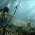Tomb Raider PC patch addresses hairy Nvidia issues, Game Crazy